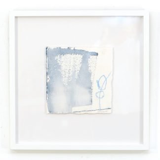 INDIGO STUDY 97