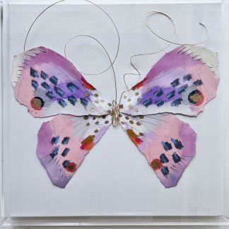 BUTTERFLY TAXIDERMY 19, 20x20