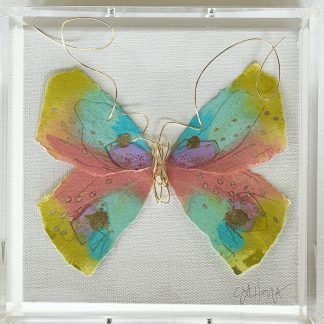 BUTTERFLY TAXIDERMY 9, 6x6
