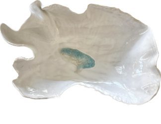 LARGE OYSTER SHELL