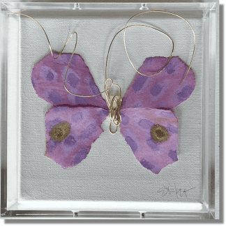 BUTTERFLY TAXIDERMY 4, 6x6