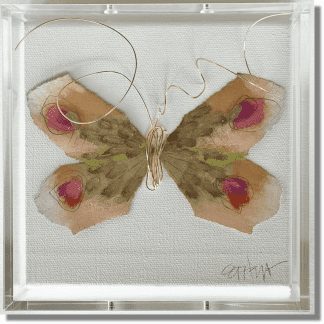 BUTTERFLY TAXIDERMY 8, 6x6
